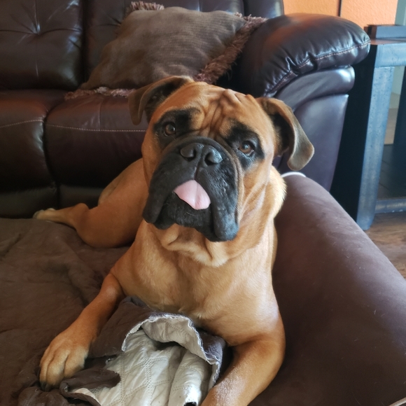 Meet your Posher, Julie - Picture 5 of 7